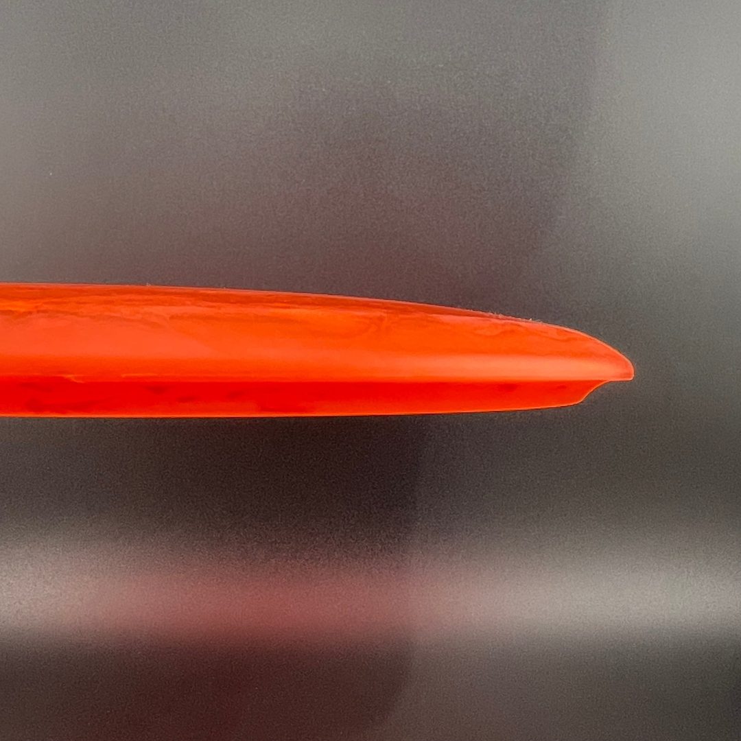 Egg Shell Brachiosaurus - Misprint Dino Discs