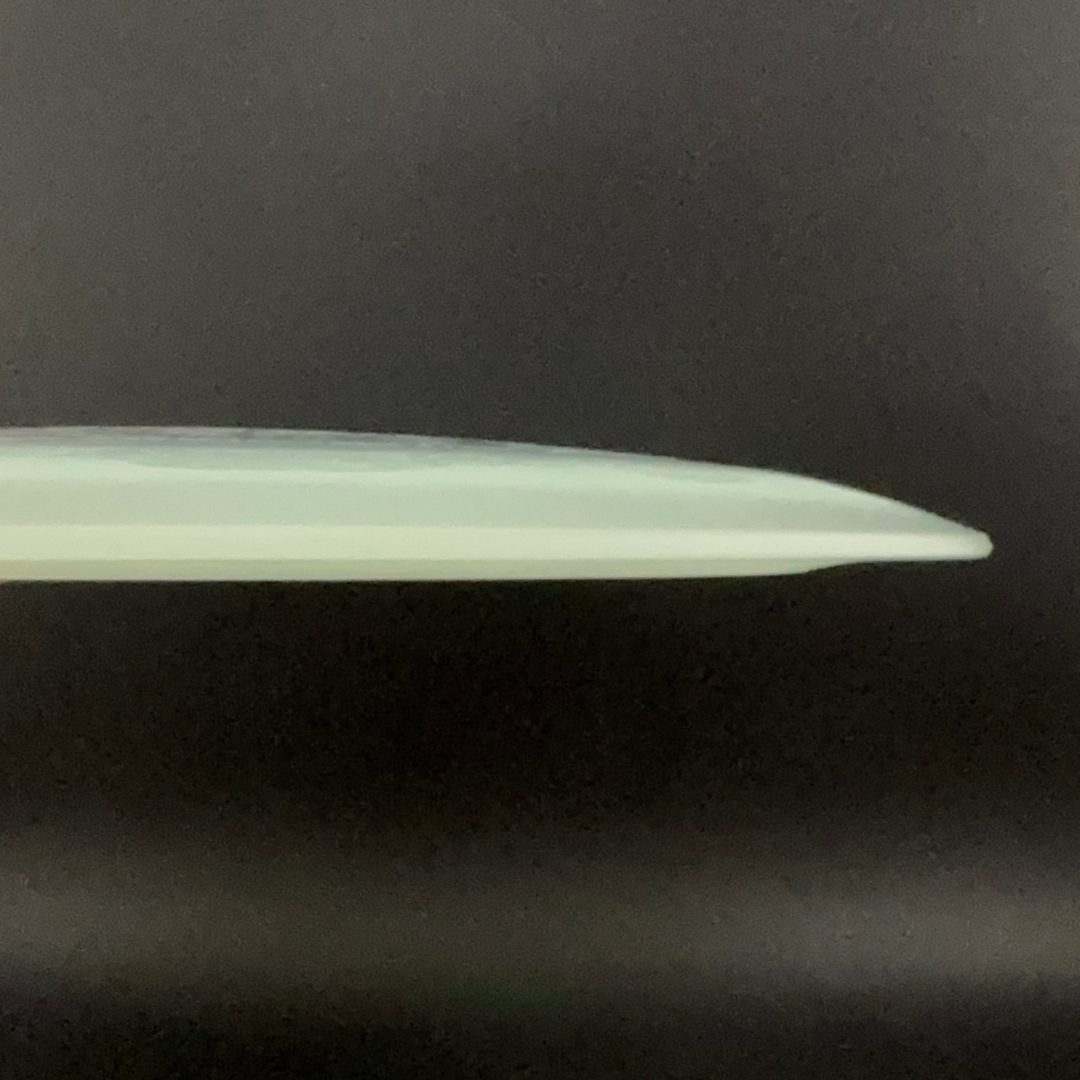 Glow Egg Shell Tyrannosaurus Rex - Special Edition Dino Discs