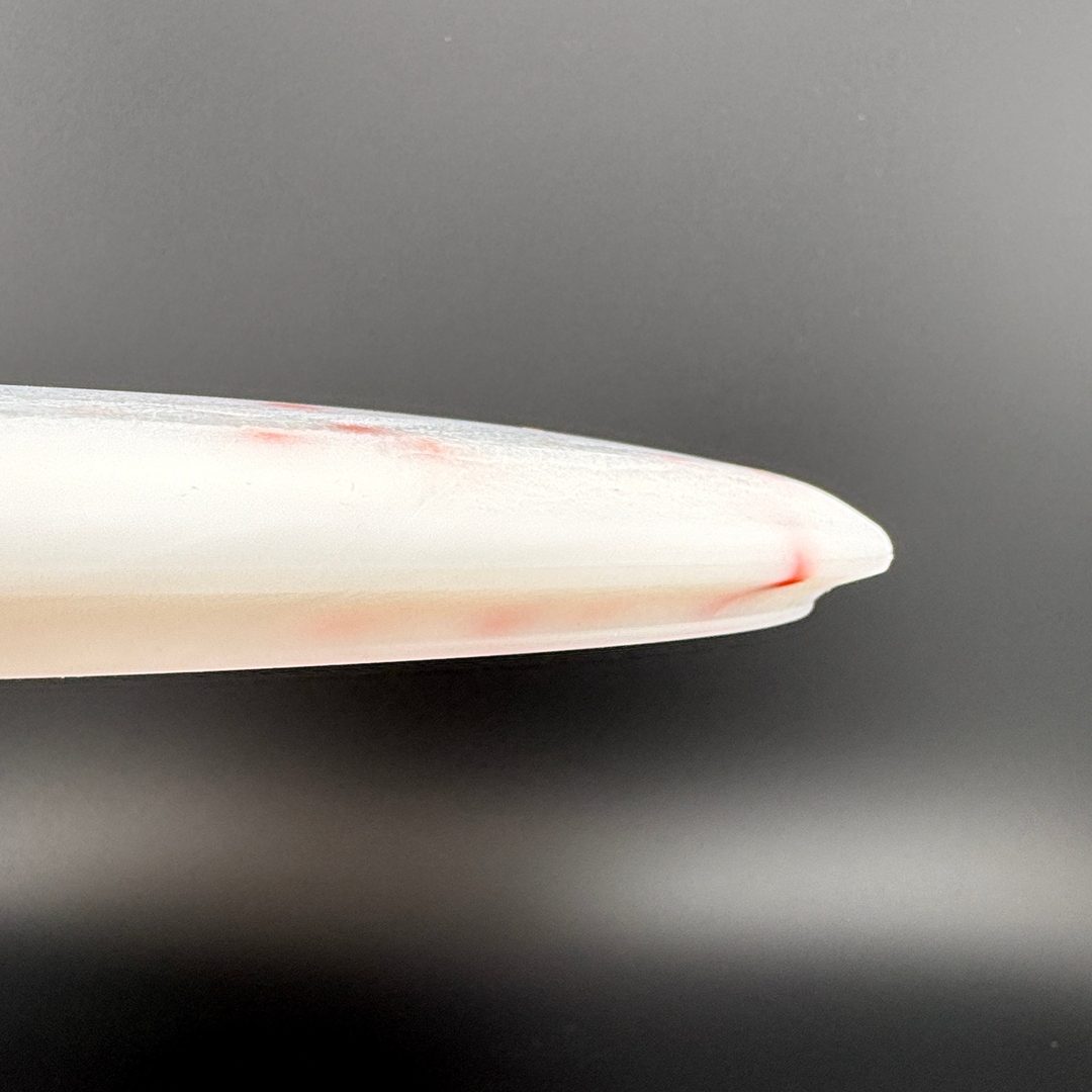 Egg Shell Stegosaurus - Baby Stego Dino Discs