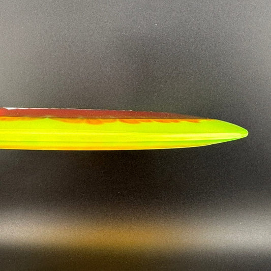 I-Dye Champion Roadrunner Innova