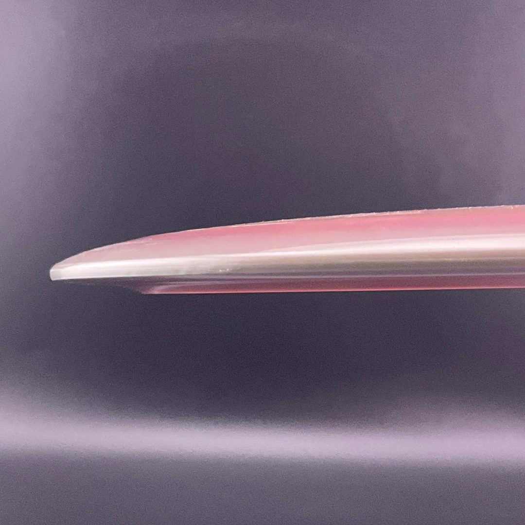 Swirly Star Tern - 2017 Hannah Leatherman Double Stamp TS Innova