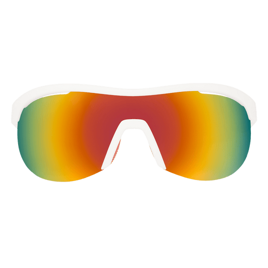 "Today's Special: My Dust" SONIC G Polarized Sunglasses Goodr