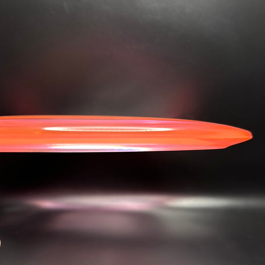 Champion Leopard - F2 - Halloween 2023 Innova