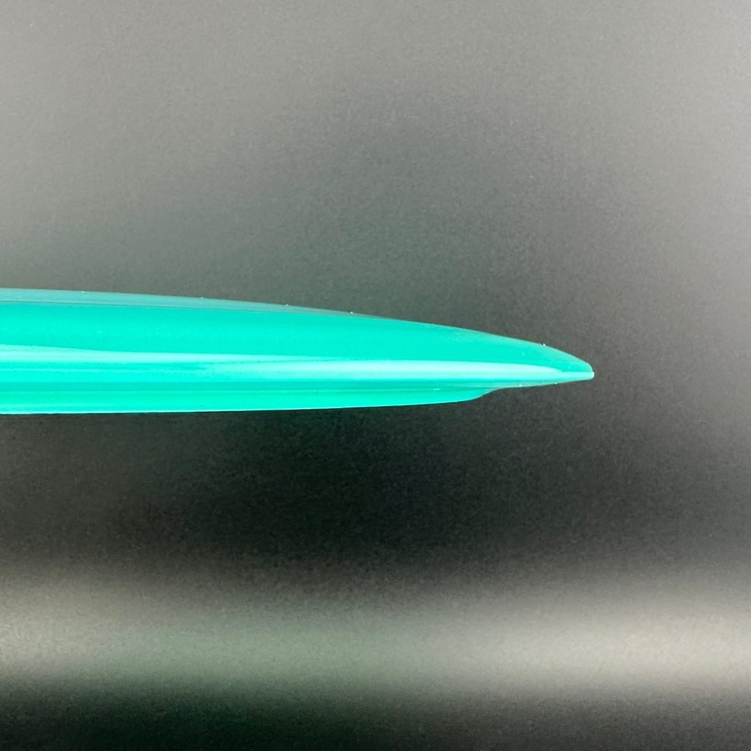 Champion Tern Innova