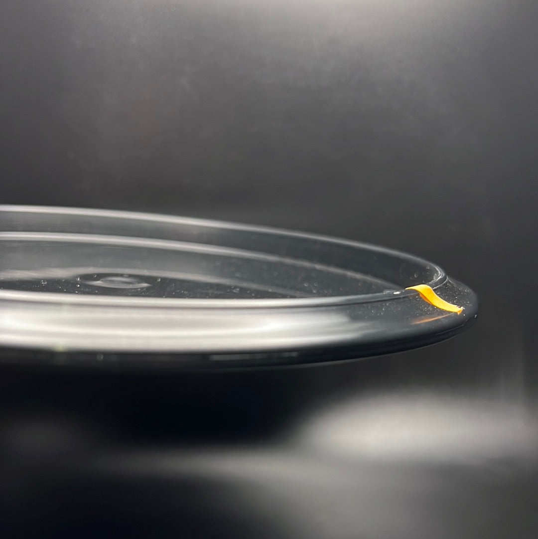 Bravo Bearkat - First Run Black *PRE-ORDER* Lone Star Discs