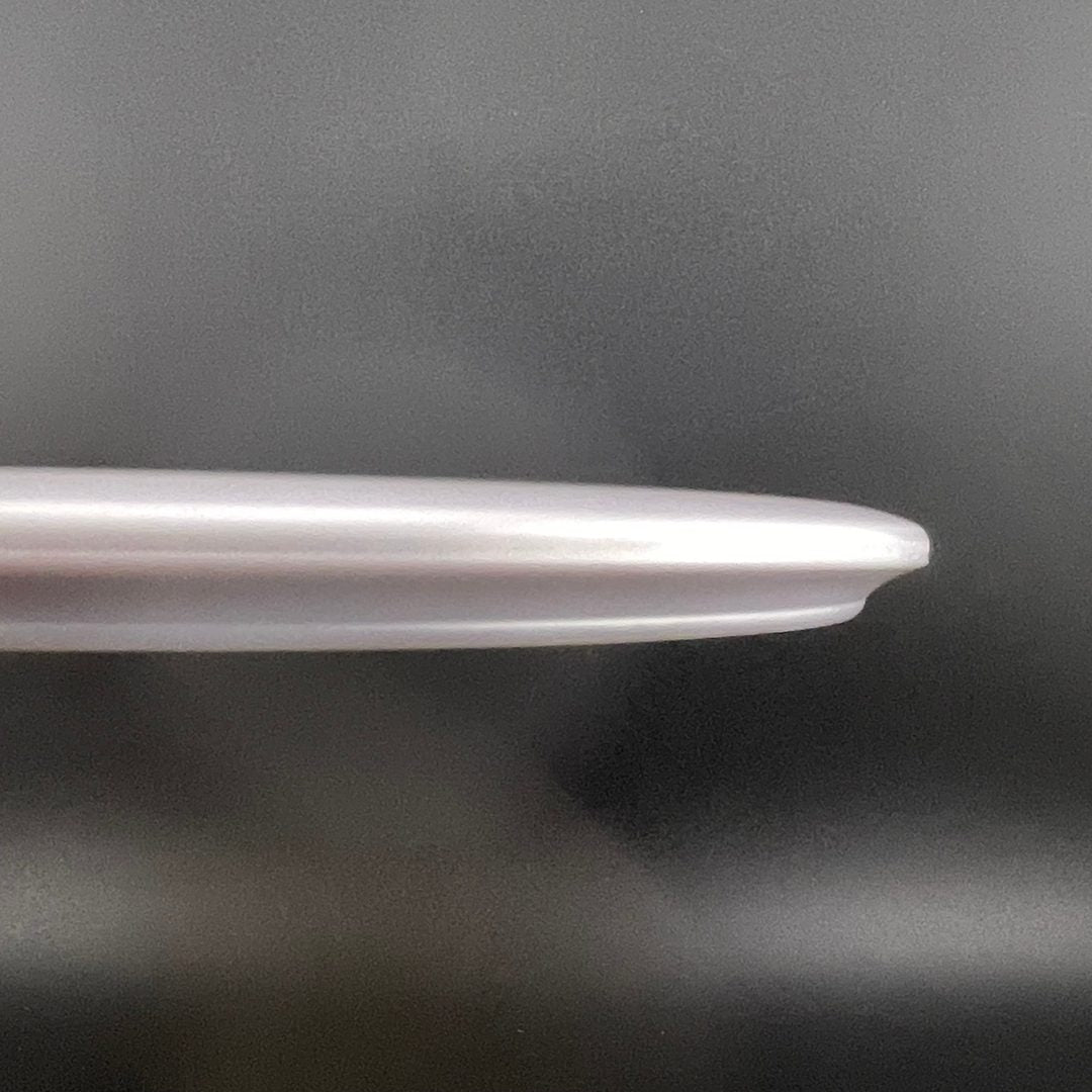 Ti Wasp - 2024 Michigan States - Double Stamped Discraft