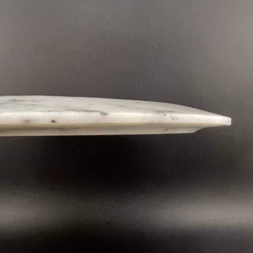 Radioactive Waste Famine Doomsday Discs