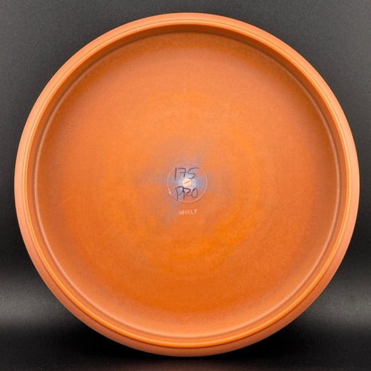 KC Pro Whale Innova