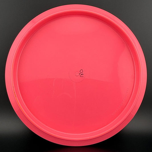 Star Rollo - Hedgehog Stamp - Garrett Gurthie Autographed Innova