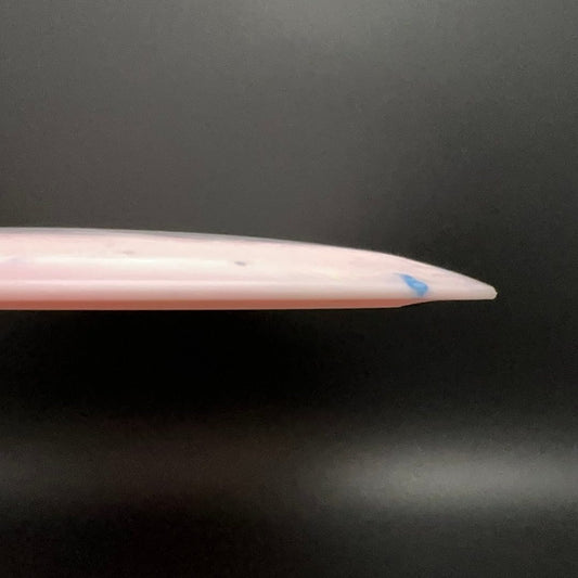 Egg Shell Tyrannosaurus Rex - Baby T-Rex Dino Discs