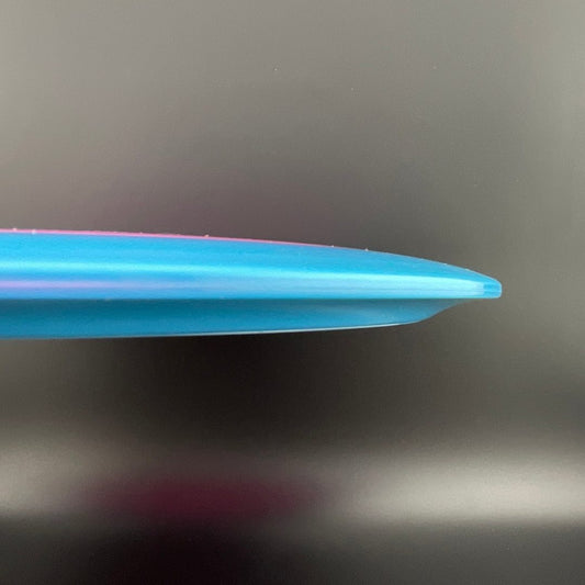 Tournament Orbit Bear Westside Discs