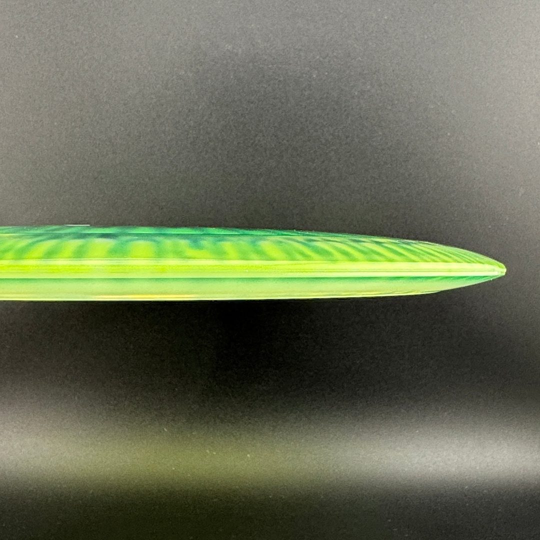 I-Dye Champion Roadrunner Innova