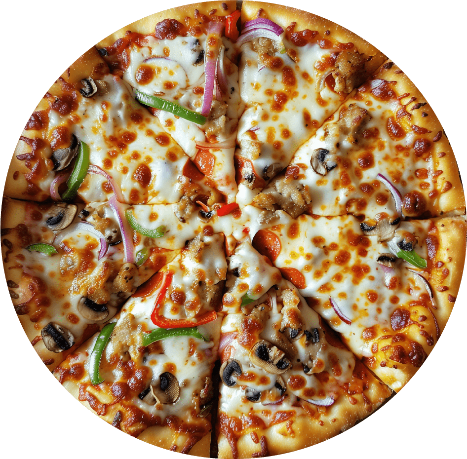 Custom Pizza Disc Golf Disc DiscGolfSwag