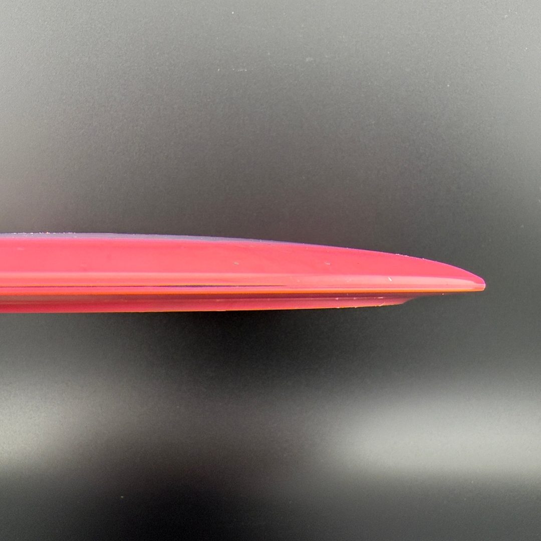 Halo Moondust Champion Tern - 2025 Juliana Korver Tour Series Innova