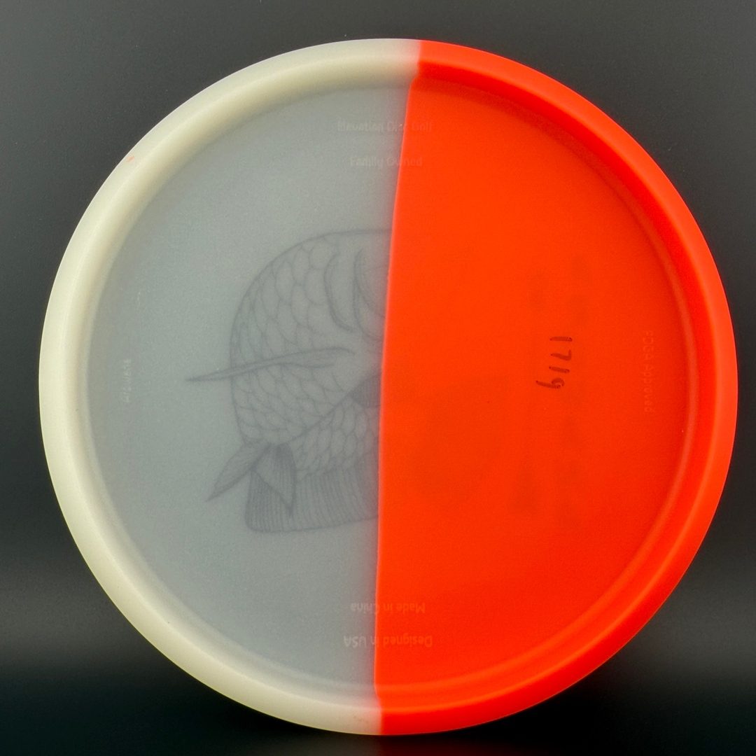 glO-G Arowana - Sushi Elevation