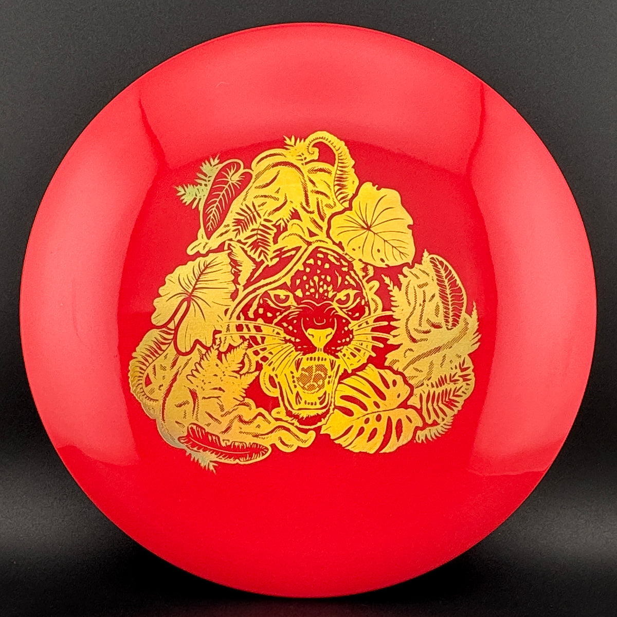 Echo Star Leopard3 Innova