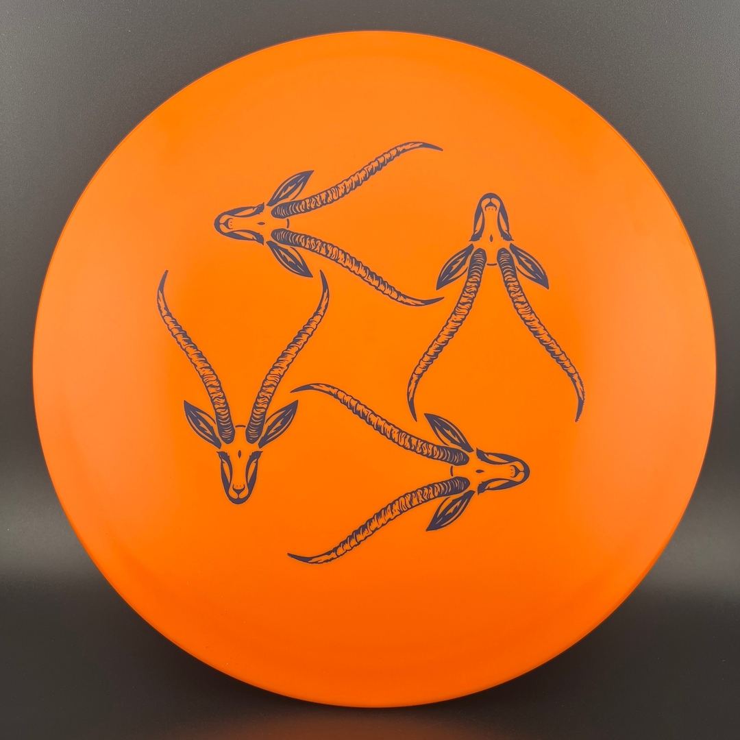 Star Gazelle - Limited Edition Innova