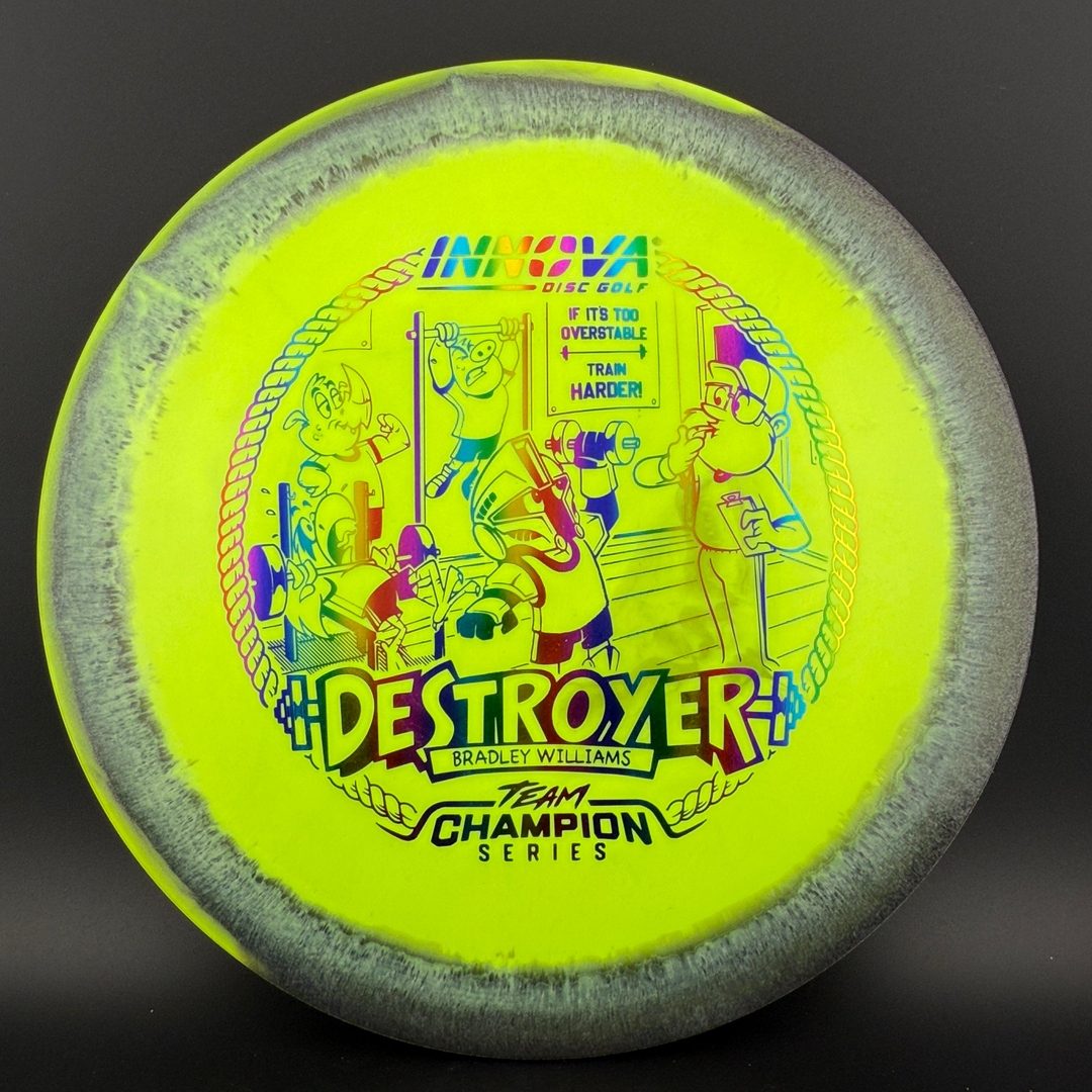 Halo Star Destroyer - Baby Destroyer - PDGA Masters Bradley Williams Innova