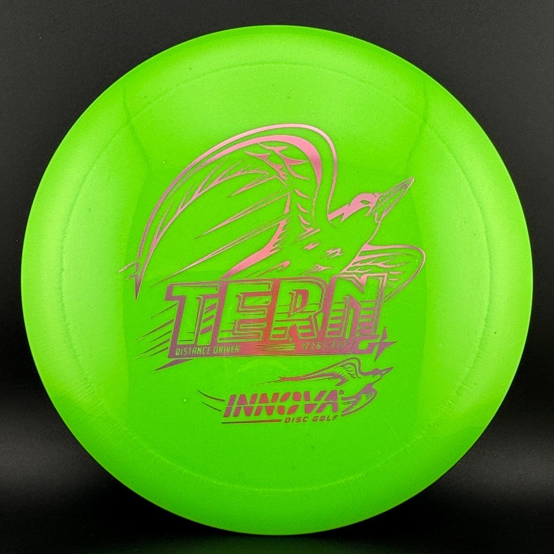GStar Tern Innova