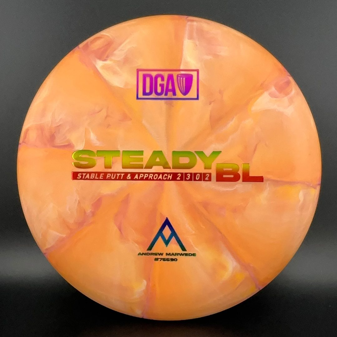 Swirl Stone Steady BL - Andrew Marwede DGA