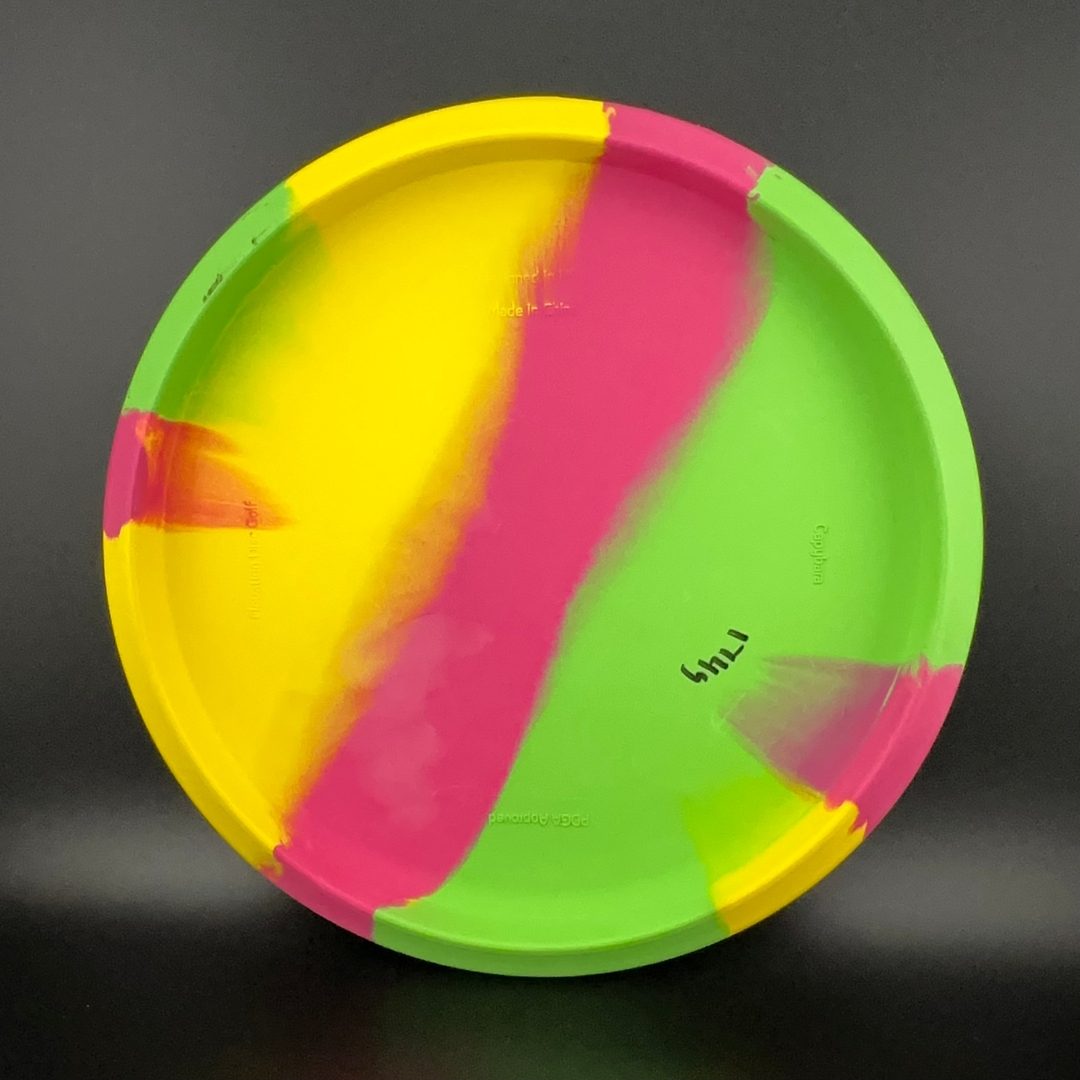 ecoFLEX Capybara Elevation