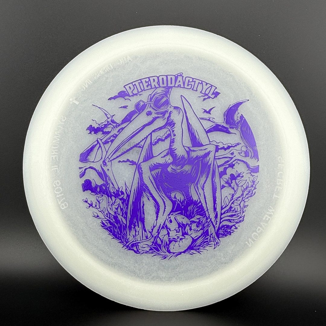 Glow Egg Shell Pterodactyl Dino Discs
