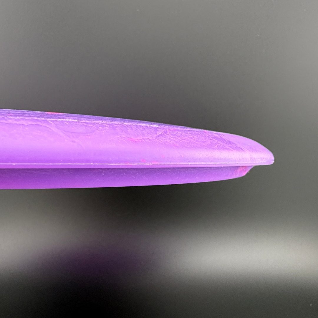 Egg Shell Brachiosaurus Dino Discs