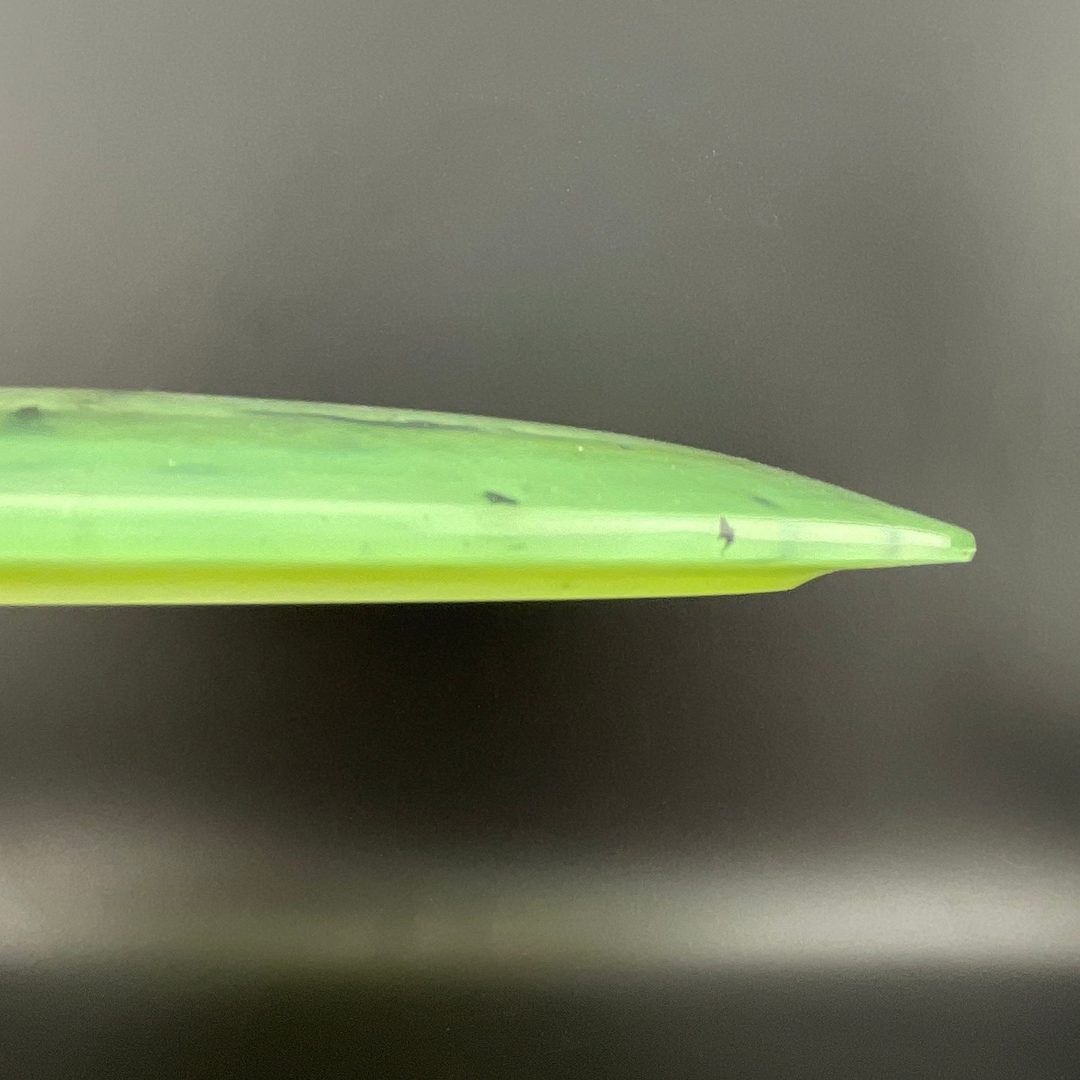 Biohazard Famine Doomsday Discs