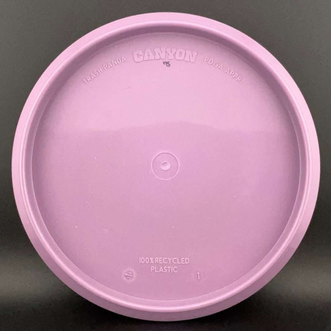 Stiff Premium Canyon trash panda