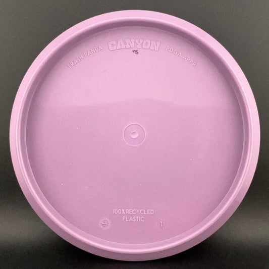 Stiff Premium Canyon trash panda