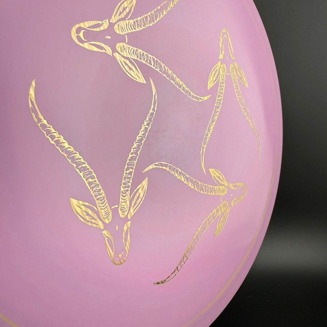 Star Gazelle - Limited Edition Innova