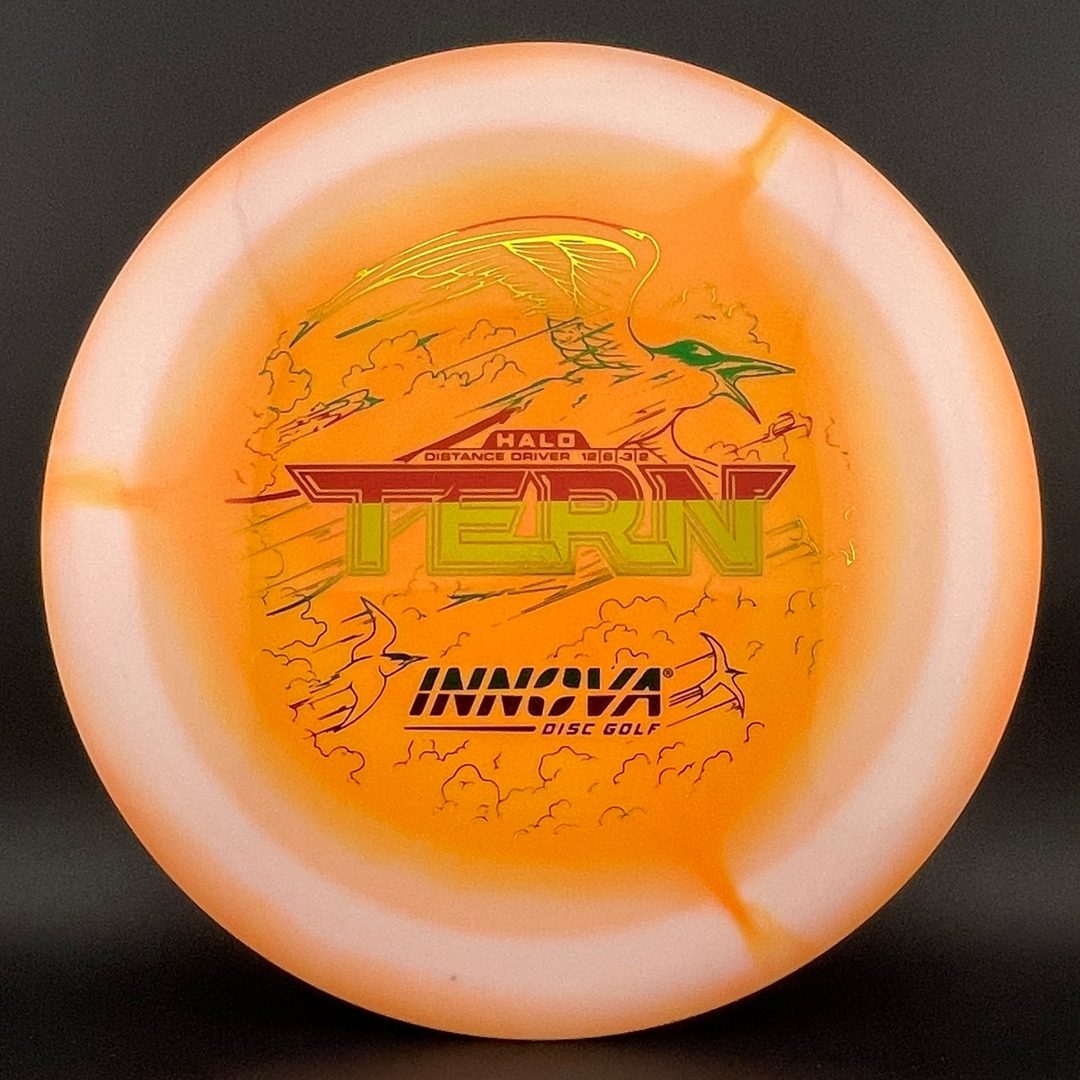 Halo Star Tern Innova