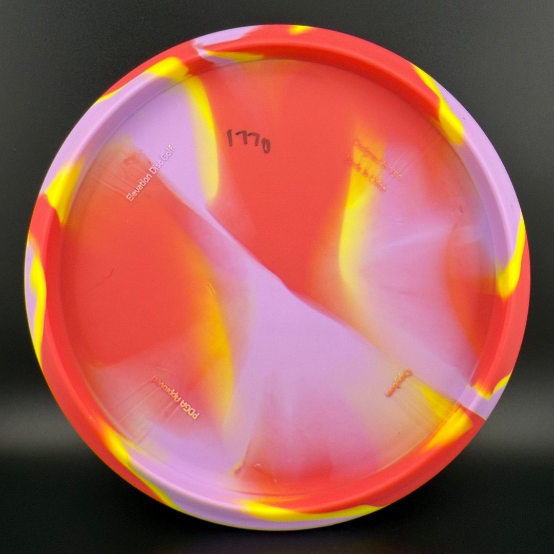 OG Capybara - Clownybara Elevation