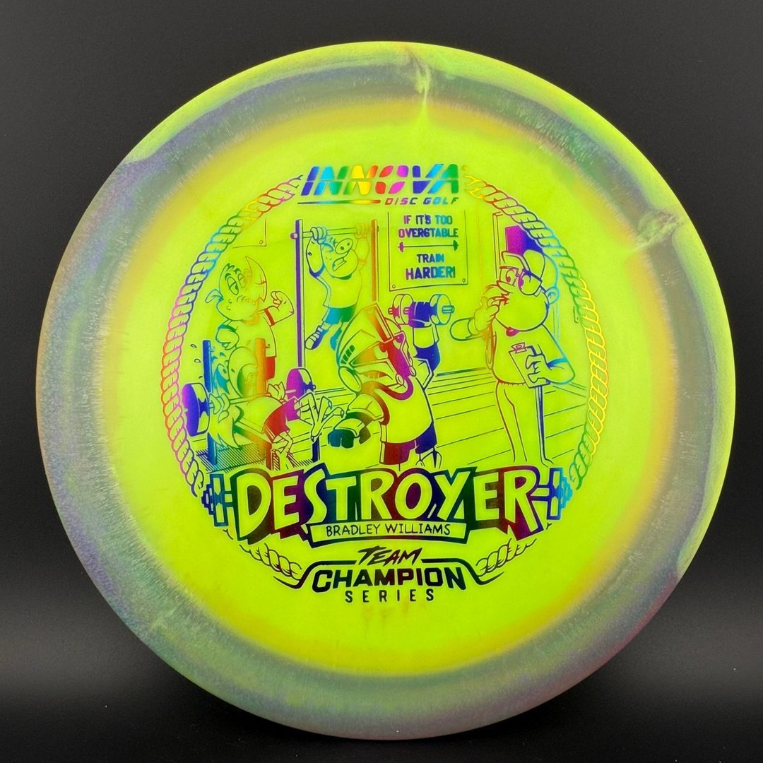 Halo Star Destroyer - Baby Destroyer - PDGA Masters Bradley Williams Innova