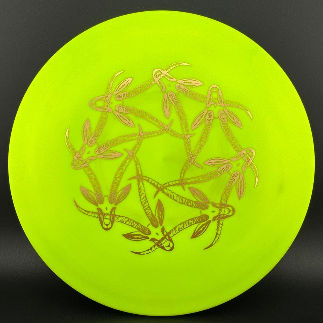 Star Gazelle - Limited Edition Innova