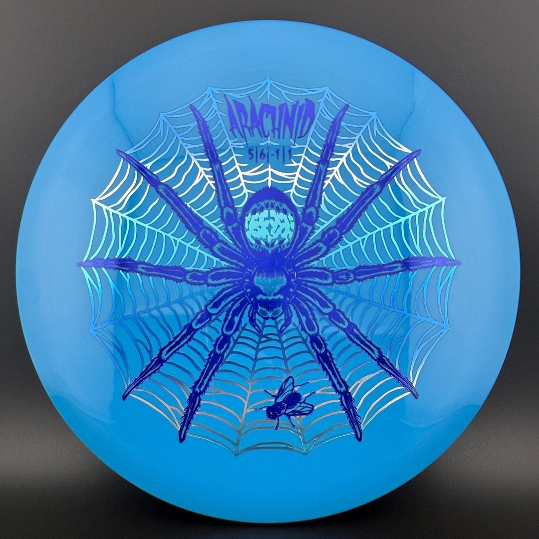 Star Arachnid - Decawolf by Kelly Baber Innova