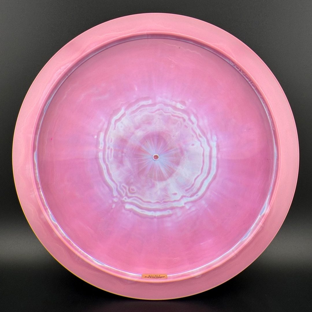 ESP Cicada - "The Squirrpion" by Marm O. Set Discraft