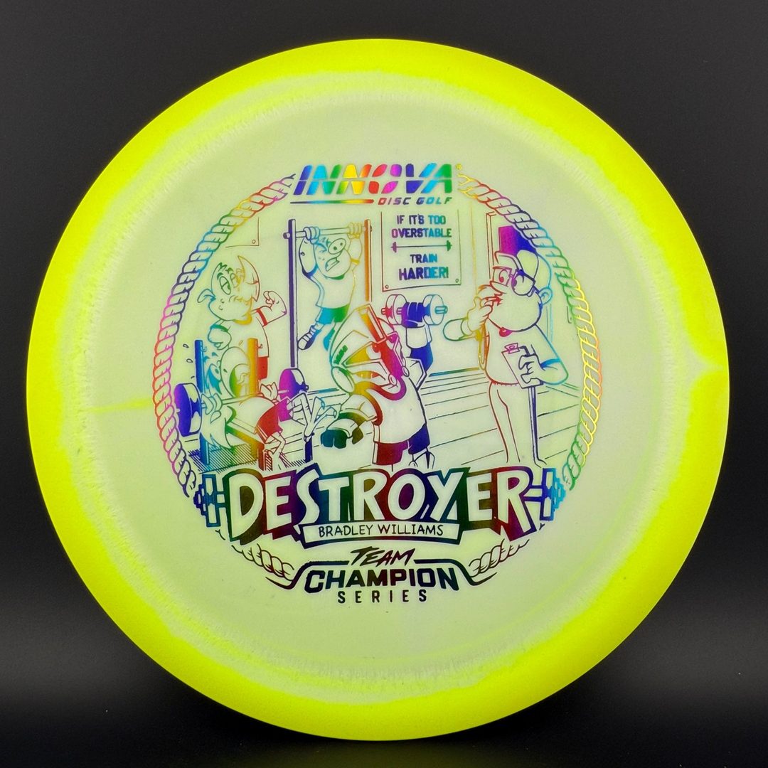 Halo Star Destroyer - Baby Destroyer - PDGA Masters Bradley Williams Innova