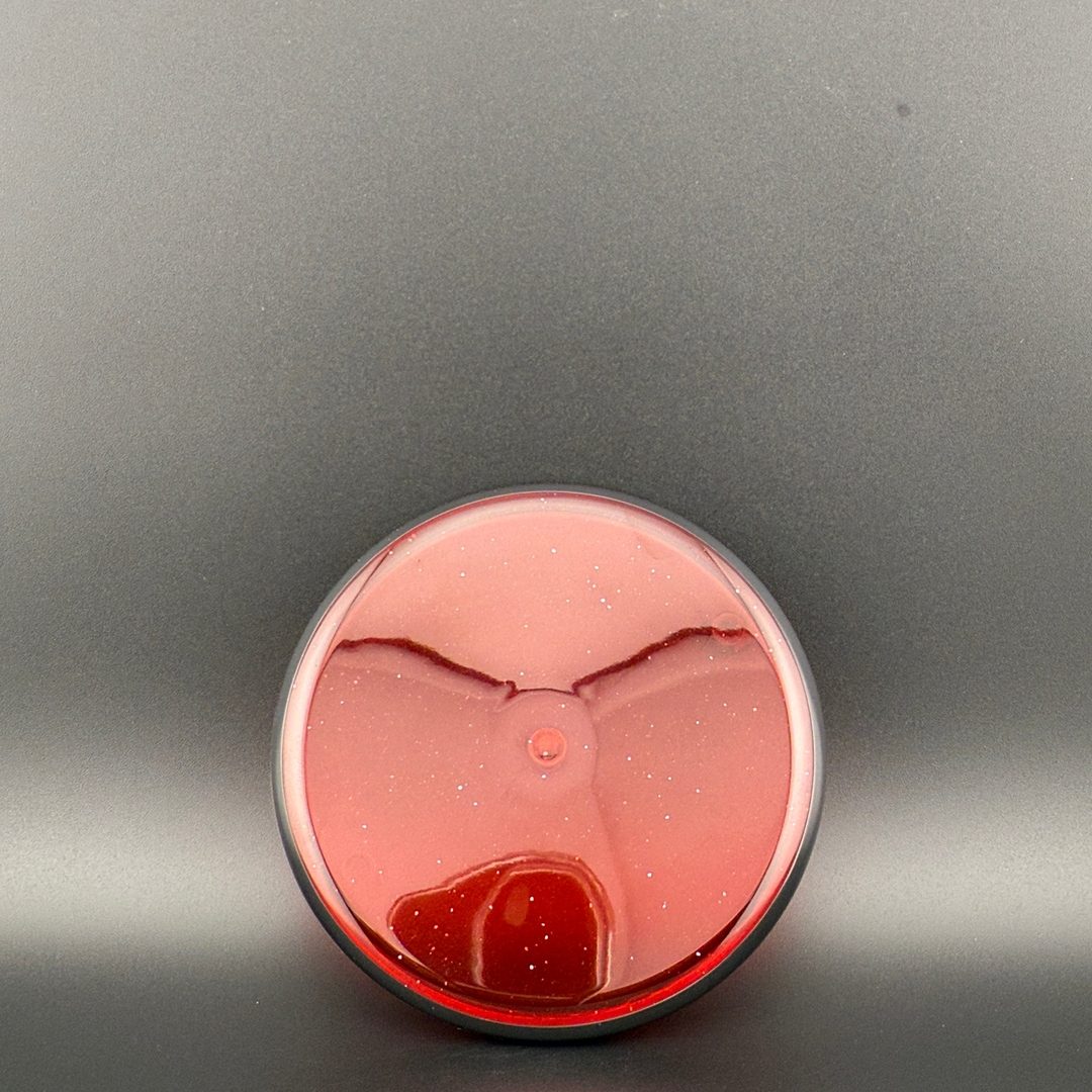 Proton Nano Blank - Mini Disc MVP