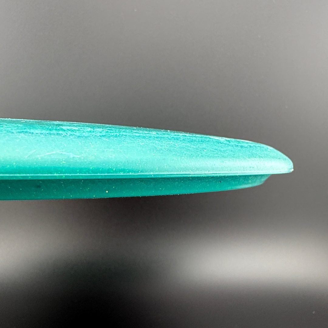 Egg Shell Brachiosaurus Dino Discs