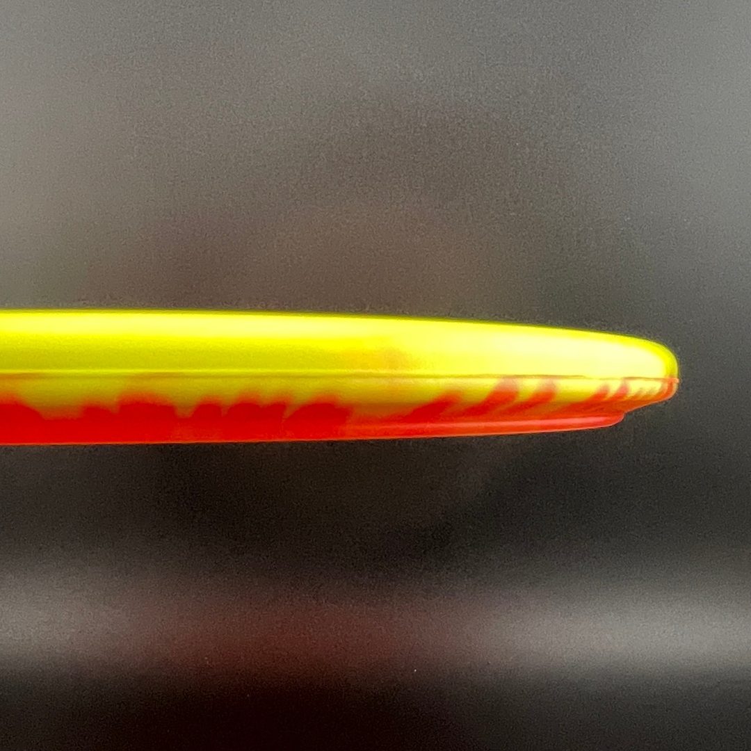 Halo Star Gator3 - Rasmus Saukkoriipi 2026 Innova