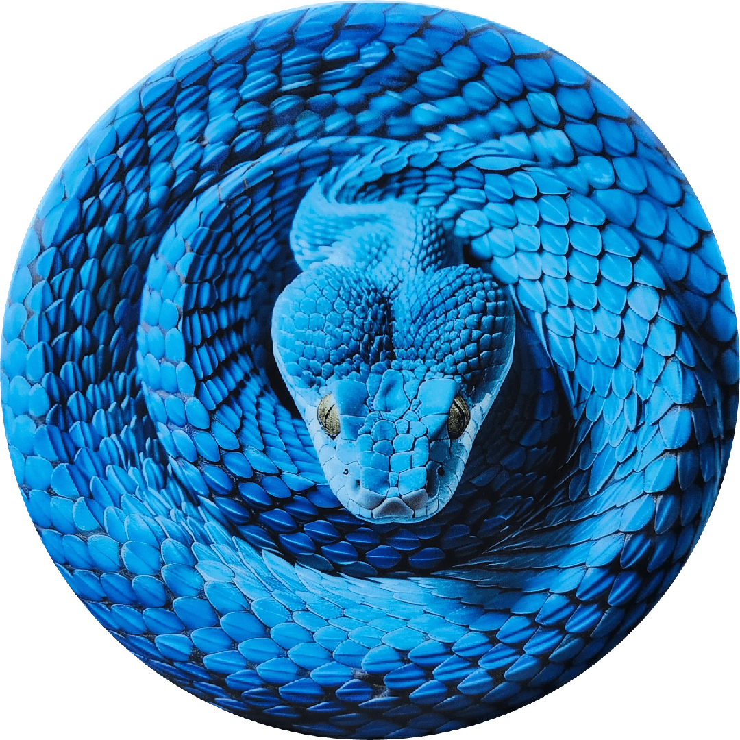 Custom Blue Snake Illusion Disc DiscGolfSwag