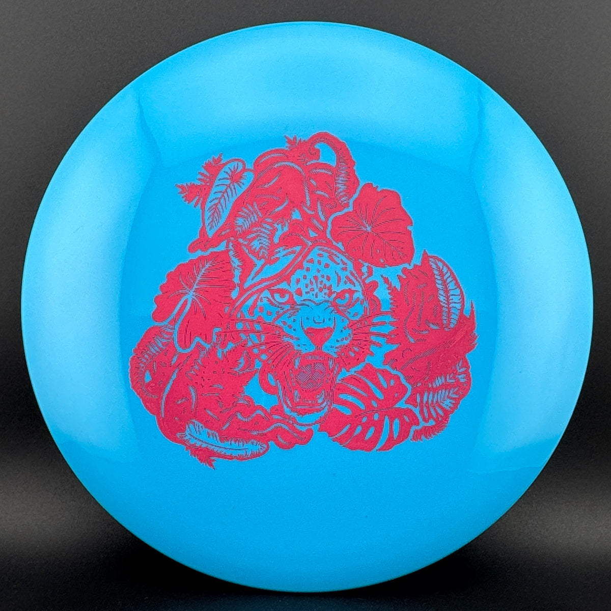 Echo Star Leopard3 Innova