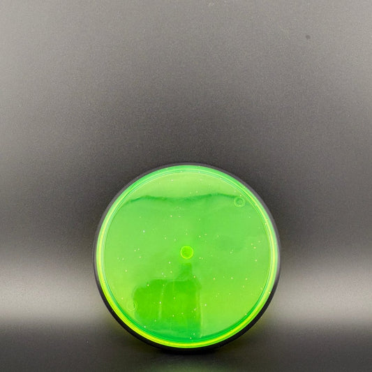 Proton Nano Blank - Mini Disc MVP