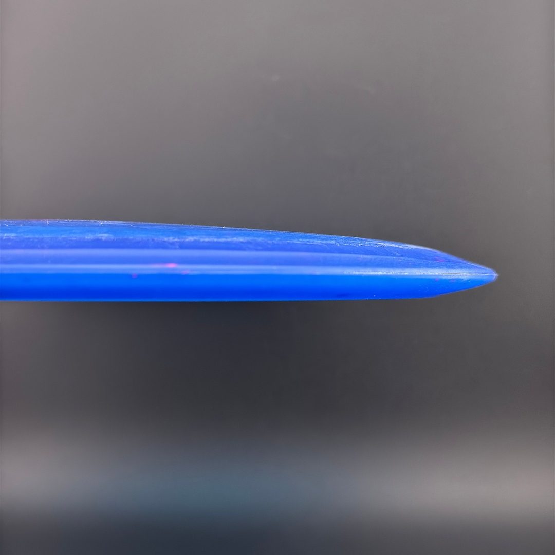 Egg Shell Pterodactyl Dino Discs