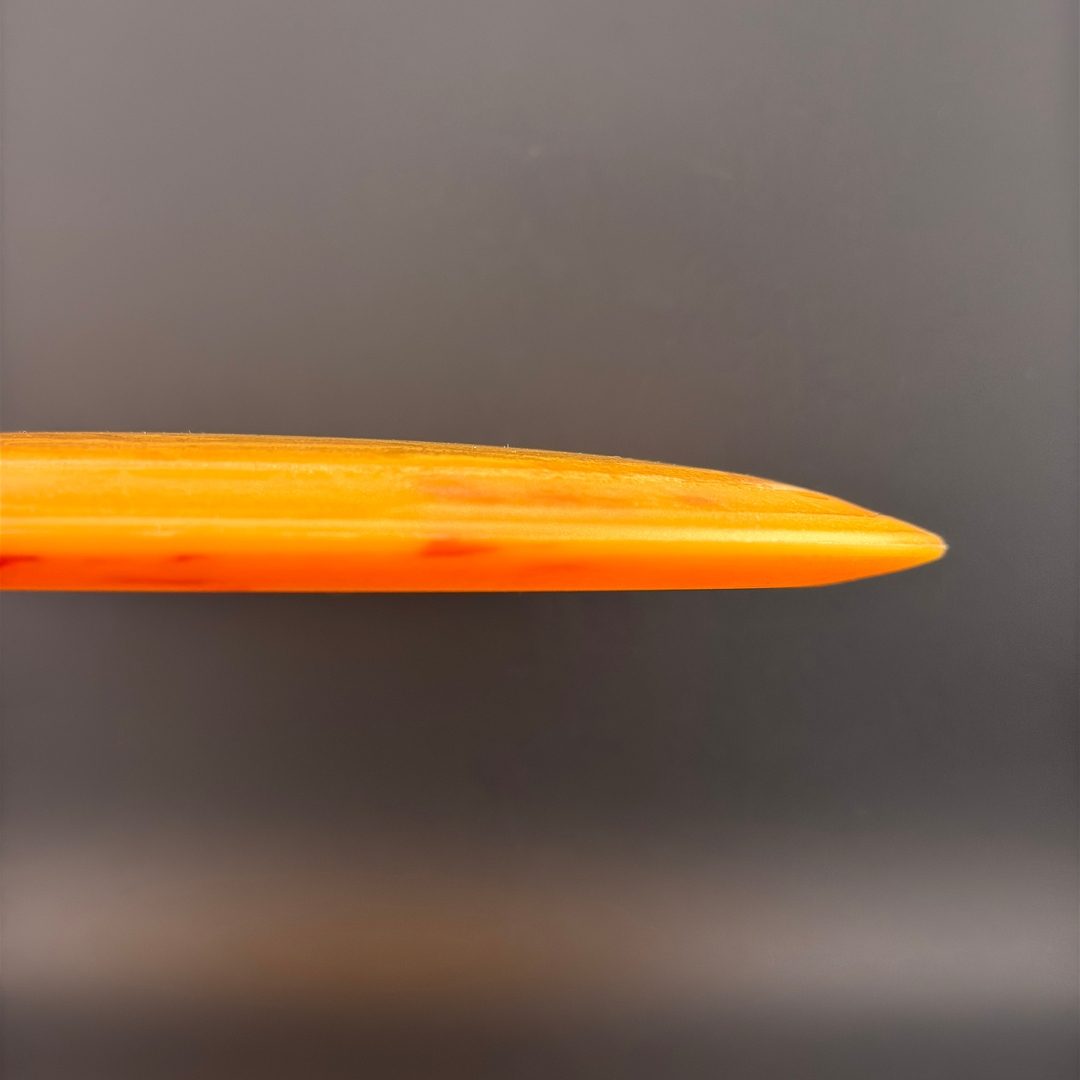 Egg Shell Pterodactyl Dino Discs