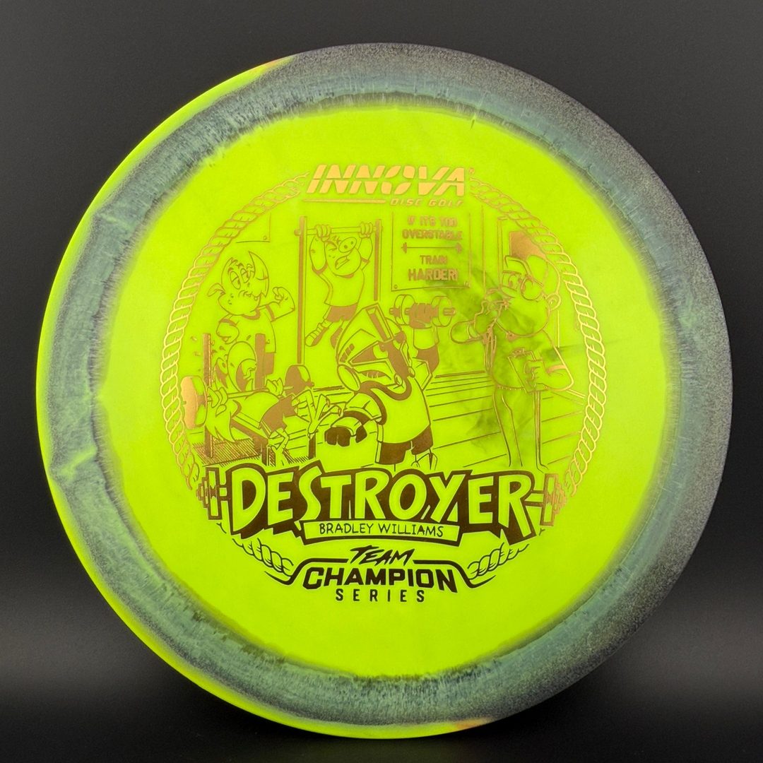 Halo Star Destroyer - Baby Destroyer - PDGA Masters Bradley Williams Innova