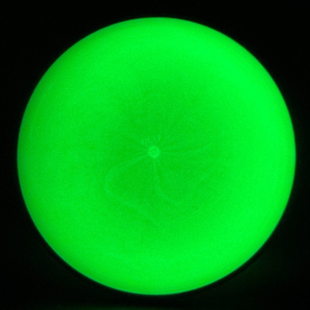 Eclipse 2.0 Envy - Blank Axiom