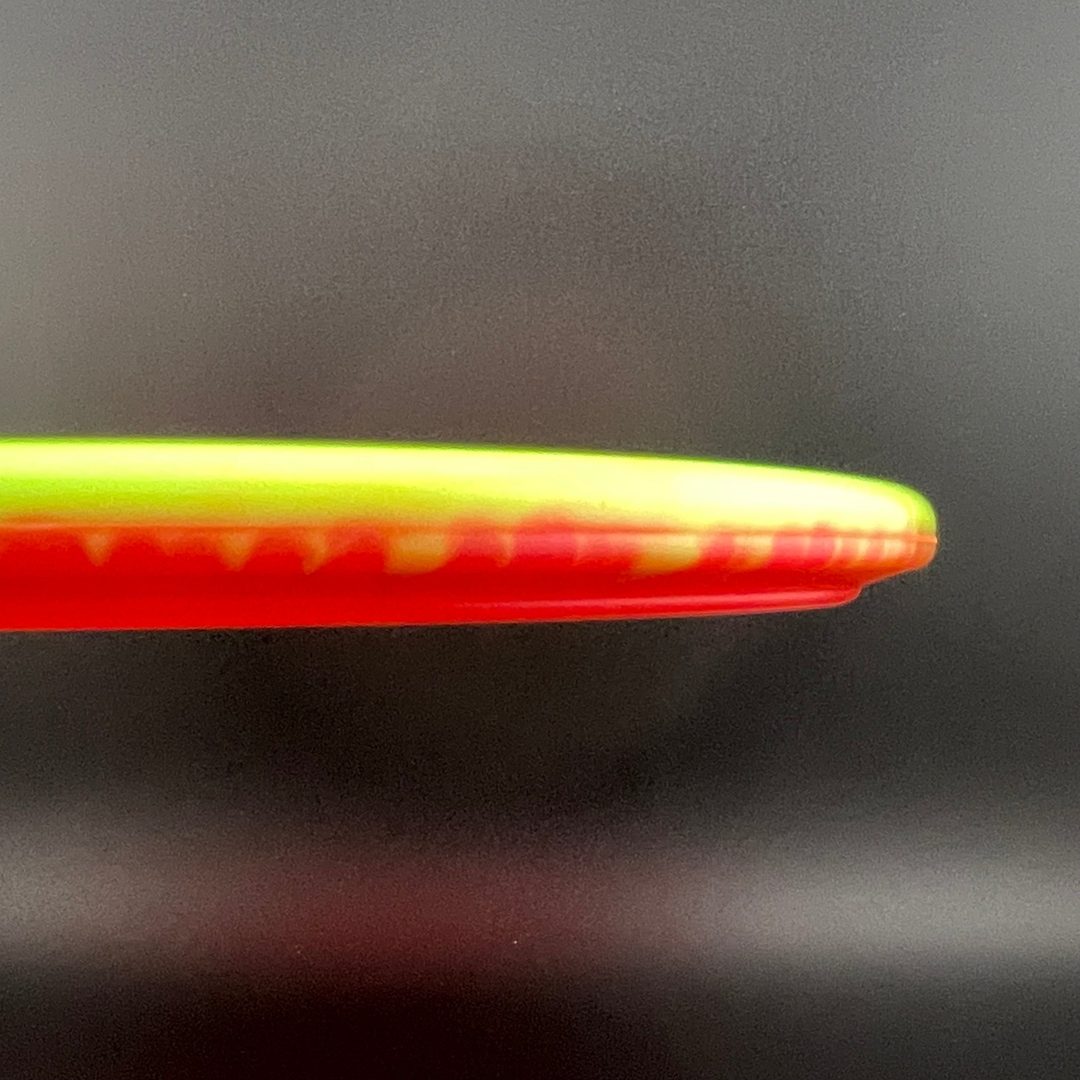 Halo Star Gator3 - Rasmus Saukkoriipi 2026 Innova