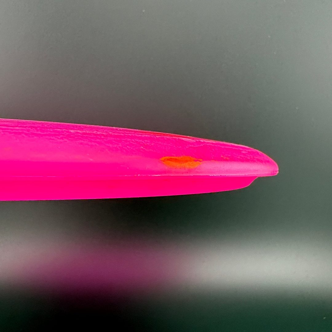 Egg Shell Brachiosaurus Dino Discs